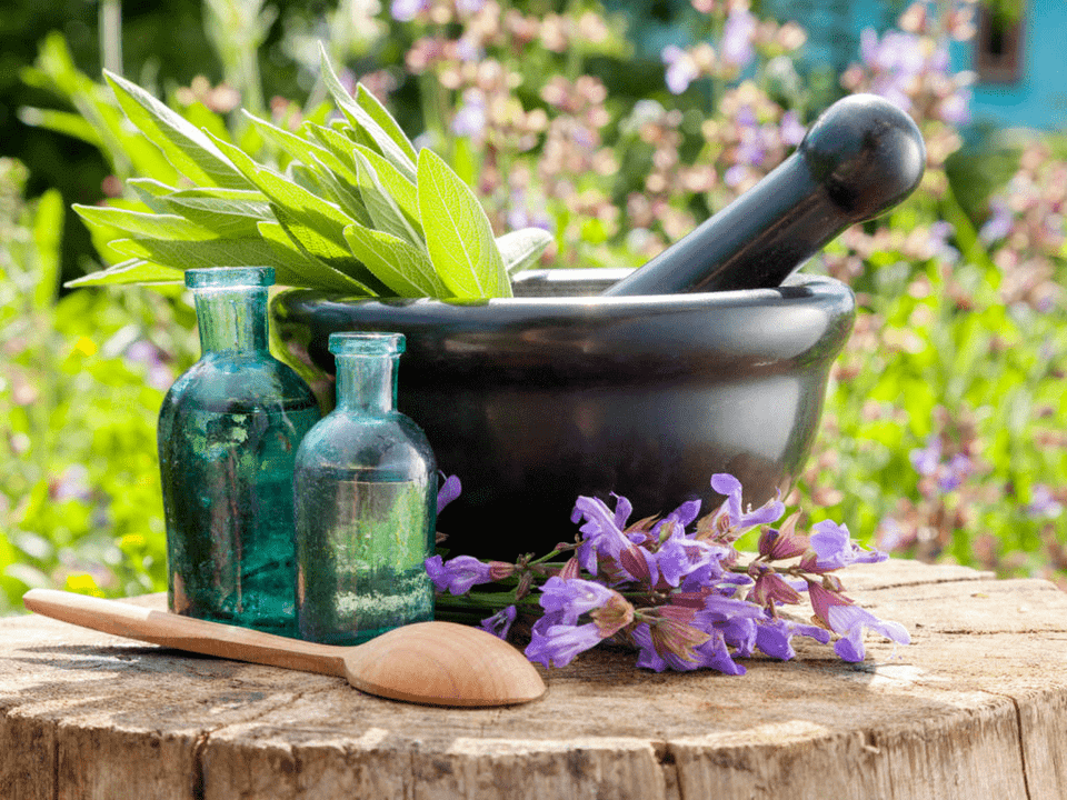 Herbas para baños curativos para osteocondrose
