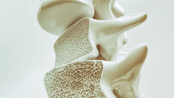 modelo seccional da columna vertebral